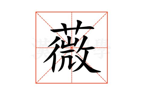 薇的意思|薇：薇的意思/造詞/解釋/注音